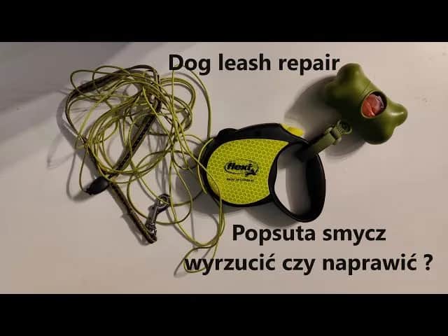 Jak naprawić sprężynę w smyczy i zaoszczędzić na nowej?