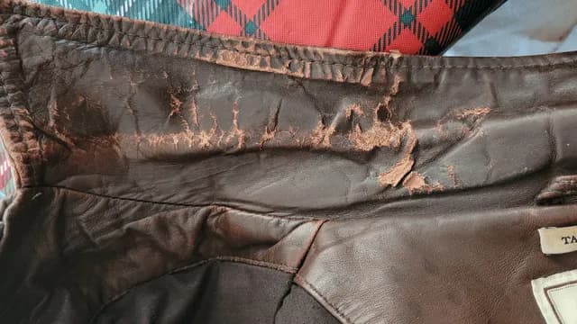 Jak naprawić kołnierz w skórzanej kurtce i uniknąć kosztów naprawy