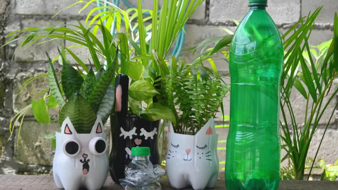 Jak zrobić doniczkę z butelki plastikowej i zaoszczędzić na zakupach