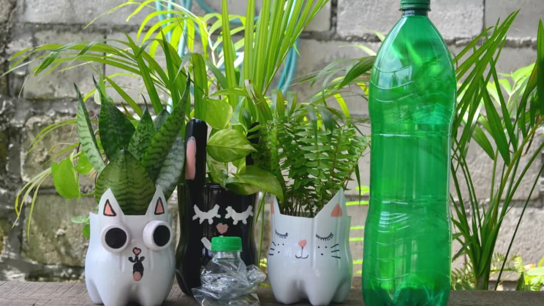 Jak zrobić doniczkę z butelki plastikowej i zaoszczędzić na zakupach